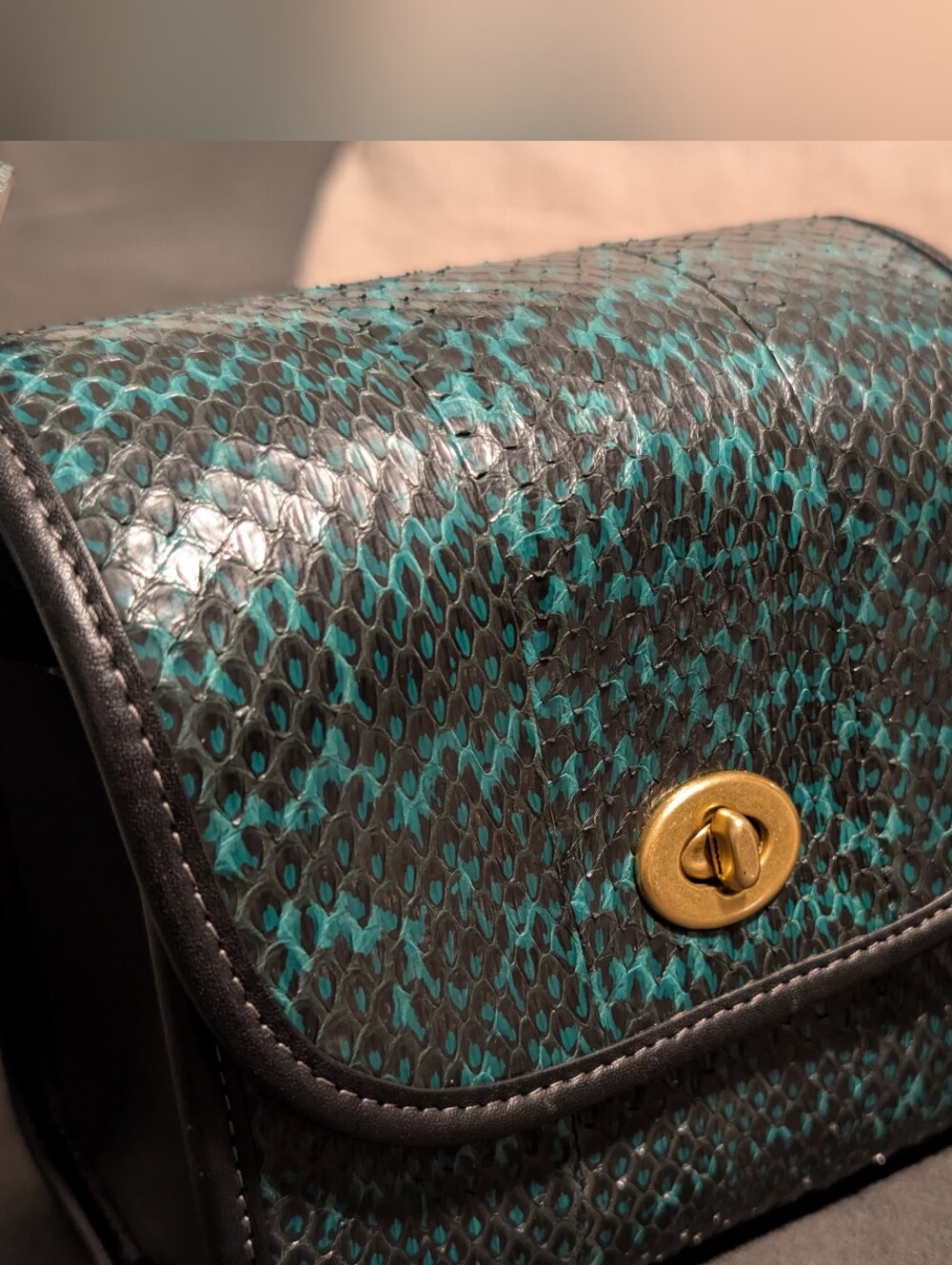Coach Turn lock lunchbox pouch.